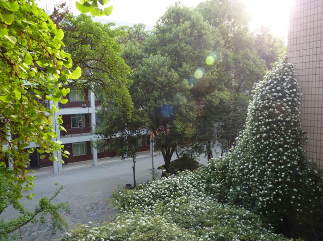 石室聯(lián)合中學(xué)蜀華分校怎么樣？