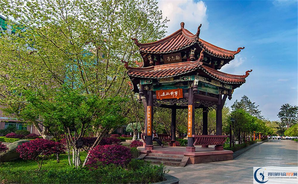 中和中學(xué)2020年高考人數(shù)是多少？