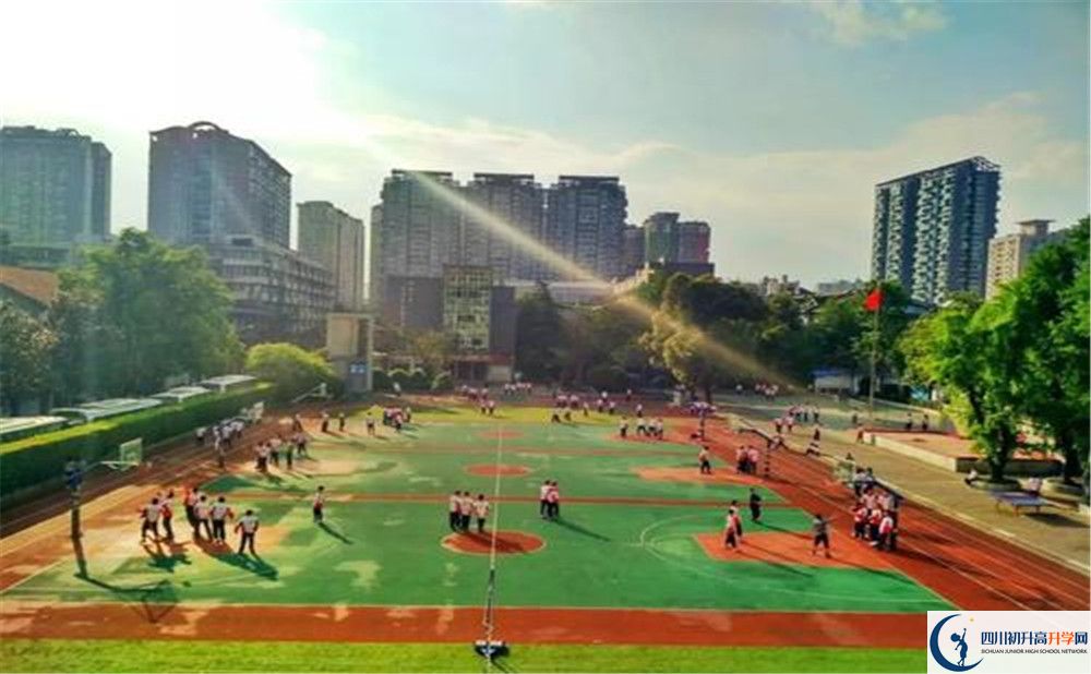 樹德協(xié)進(jìn)中學(xué)2020年是省一級嗎？